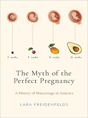 cover image of The Myth of the Perfect Pregnancy